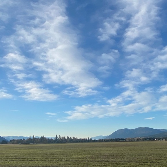 Meet your Posher, Cana - Picture 1 of 1